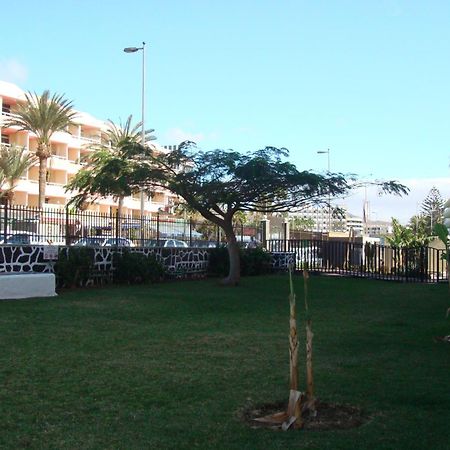 Los Cactus Playa del Ingles  Exterior photo